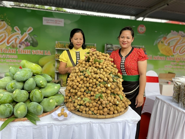 Sơn La mango and safe farm produce week launched in Hà Nội