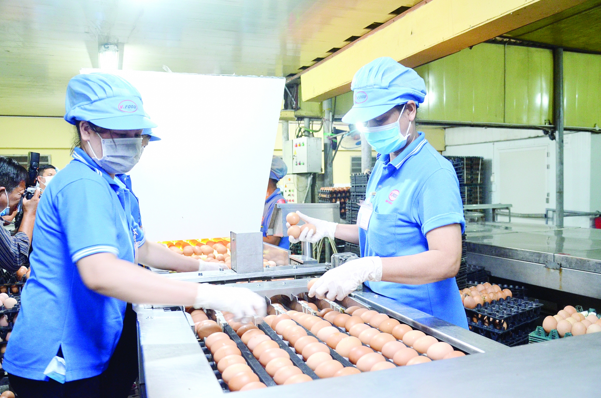 Vietnamese production, exports thrive amid pandemic