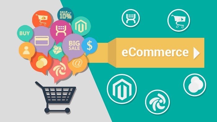 E-commerce plays an important role in the success of cooperatives