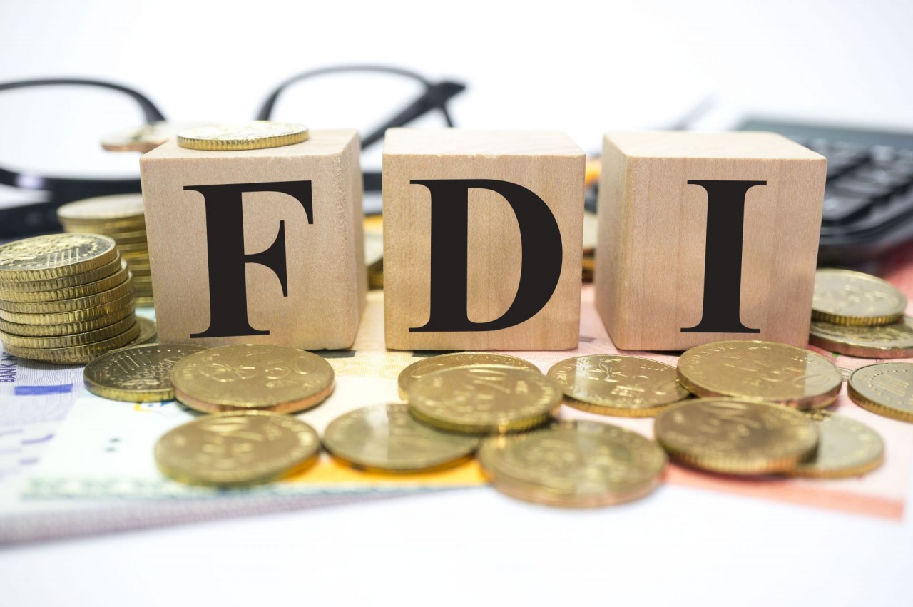 FDI disbursements rise slightly in January-June