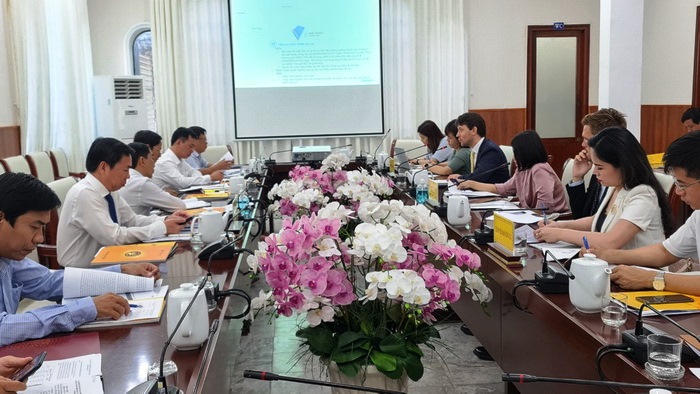 Tập đoàn Orsted chuẩn bị đầu tư 2 dự án điện gió tại huyện Thuận Nam