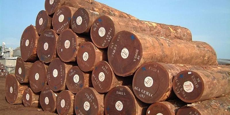 Mỗi năm chi 500 triệu USD nhập khẩu gỗ nguyên liệu từ châu Phi