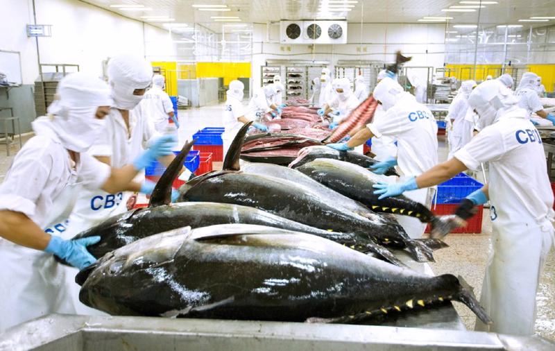 Xuất khẩu cá ngừ lần đầu tiên đạt mốc 1 tỷ USD