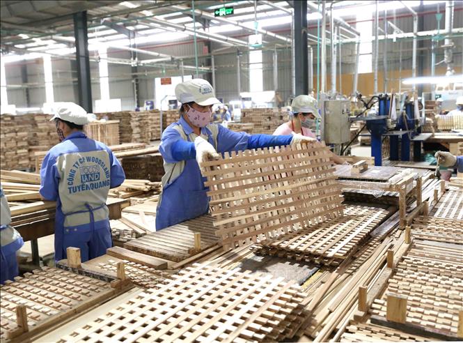 Quy hoạch Tuyên Quang trở thành trung tâm sản xuất, chế biến gỗ