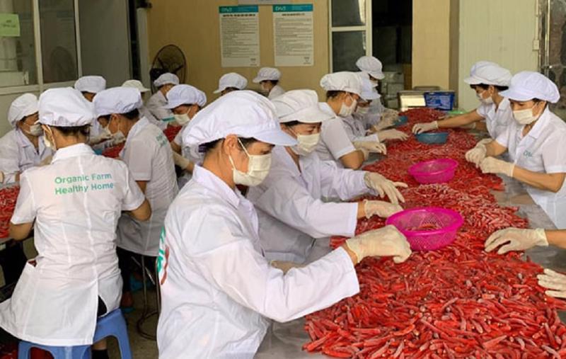 Hàn Quốc thu hồi, ngừng bán sản phẩm ớt của Việt Nam do dư lượng thuốc trừ sâu vượt quá tiêu chuẩn