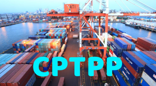 Áp dụng hơn 12.000 dòng thuế xuất nhập khẩu ưu đãi đặc biệt theo CPTPP